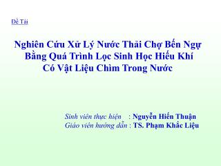 Nghiên Cứu Xử Lý Nước Thải Chợ Bến Ngự Bằng Quá Trình Lọc Sinh Học Hiếu Khí