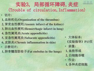 实验 3, 局部循环障碍 , 炎症 (Trouble of circulation,Inflammation)