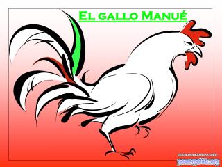El gallo Manué