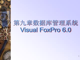 第九章数据库管理系统 Visual FoxPro 6.0