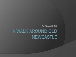 A Walk Around Old Newcastle