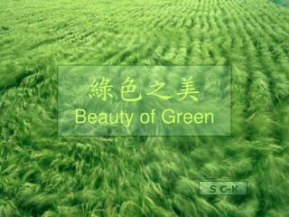 綠色之美 Beauty of Green