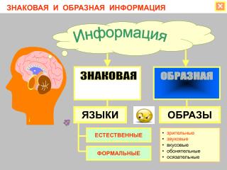 ЗНАКОВАЯ И ОБРАЗНАЯ ИНФОРМАЦИЯ