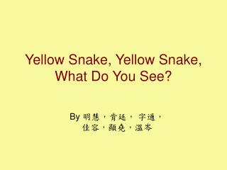 Yellow Snake, Yellow Snake, What Do You See?