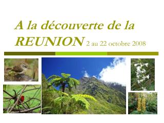 A la découverte de la REUNION 2 au 22 octobre 2008