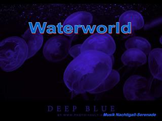 Waterworld