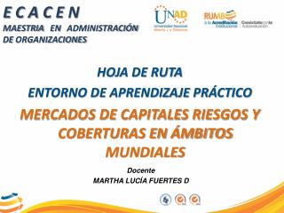 E C A C E N MAESTRIA EN ADMINISTRACIÓN DE ORGANIZACIONES