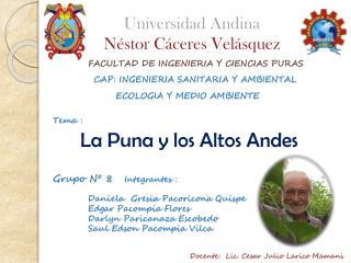 Universidad Andina Néstor Cáceres Velásquez