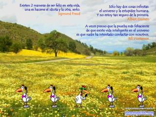 Existen 2 maneras de ser feliz en esta vida, una es hacerse el idiota y la otra , serlo.