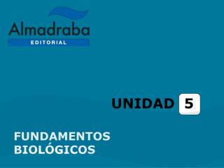 UNIDAD 5