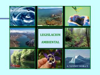 Legislación Ambiental 				A. Yannet Mora T.