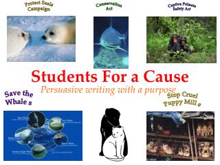 Students For a Cause