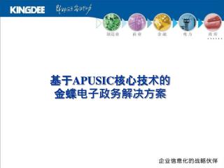 基于 APUSIC 核心技术的 金蝶电子政务解决方案