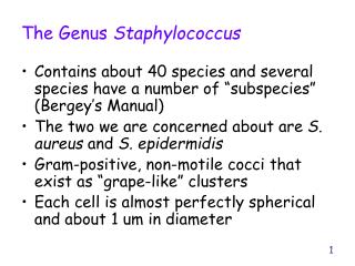 The Genus Staphylococcus