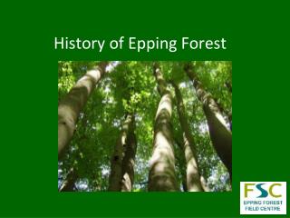History of Epping Forest