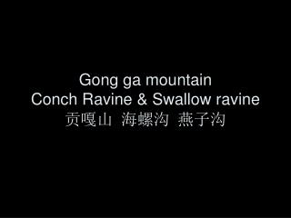 Gong ga mountain Conch Ravine &amp; Swallow ravine 贡嘎山 海螺沟 燕子沟