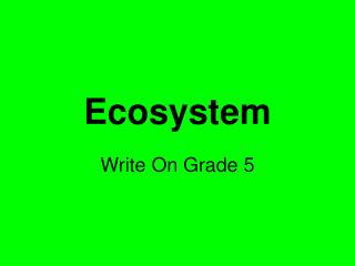 Ecosystem