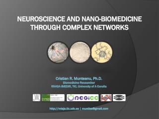 Neuroscience and nano -biomedicine through complex networks