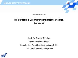 Mehrkriterielle Optimierung mit Metaheuristiken (Vorlesung)