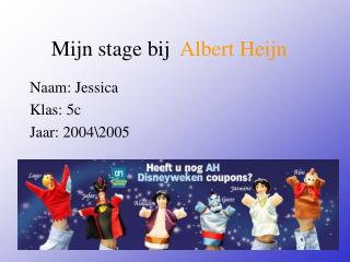 Mijn stage bij Albert Heijn