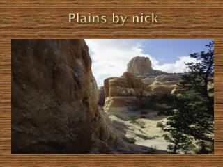 Plains by nick