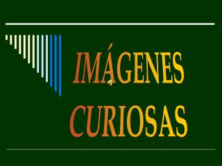 IMÁGENES CURIOSAS