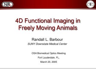 4D Functional Imaging in Freely Moving Animals