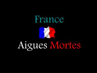 France Aigues Mortes