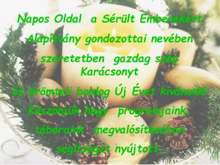 Napos Oldal A Sérült Emberekért Alapítvány Programjai Képekben