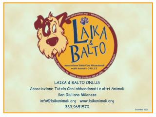 LAIKA &amp; BALTO ONLUS Associazione Tutela Cani abbandonati e altri Animali San Giuliano Milanese