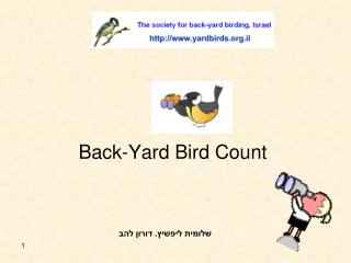 Back-Yard Bird Count