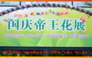 今年国庆期间，华南植物园举办帝王花花展，主题为“花之童话”。