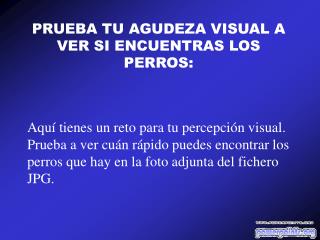 PRUEBA TU AGUDEZA VISUAL A VER SI ENCUENTRAS LOS PERROS :