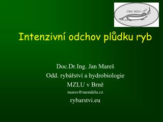 Intenzivní odchov plůdku ryb Doc.Dr.Ing. Jan Mareš Odd. rybářství a hydrobiologie MZLU v Brně