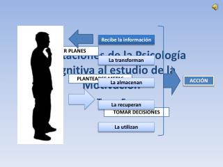 Aportaciones de la Psicología Cognitiva al estudio de la Motivación