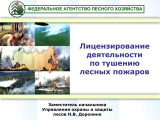 Лицензирование деятельности по тушению лесных пожаров