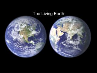 living earth new caney