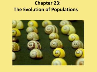 Chapter 23: The Evolution of Populations