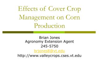 Effects of Cover Crop Management on Corn Production