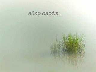 RŪKO GROŽIS...