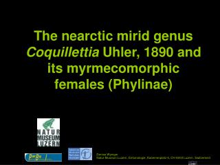 The nearctic mirid genus Coquillettia Uhler, 1890 and its myrmecomorphic females (Phylinae)