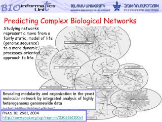 PNAS 101 2981, 2004 pnas/cgi/reprint/0308661100v1