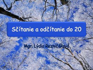 Sčítanie a odčítanie do 20