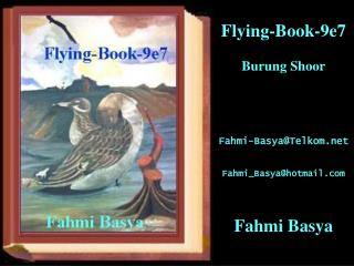 Flying-Book-9e7