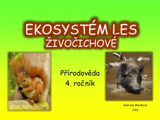 EKOSYSTÉM LES ŽIVOČICHOVÉ