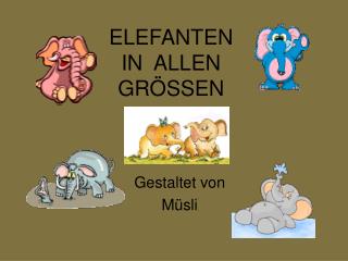 ELEFANTEN IN ALLEN GRÖSSEN