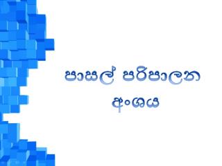 පාසල් පරිපාලන අංශය