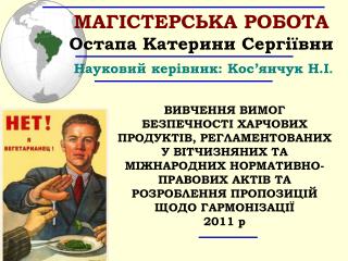 МАГІСТЕРСЬКА РОБОТА Остапа Катерини Сергіївни