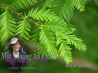 bút ký của Nguyên Nhung