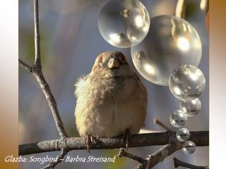 Glazba : Songbird – Barbra Streisand